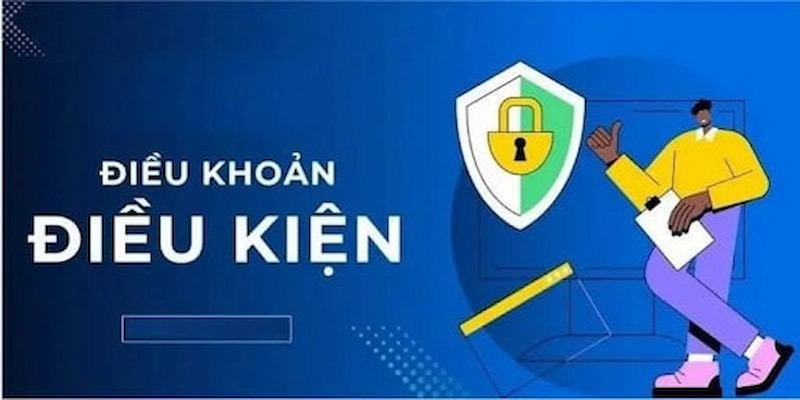 Tìm hiểu chính sách điều khoản và điều kiện dành cho người tham gia